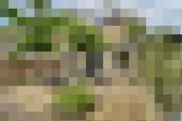 Bilderdijklaan 24 Hazerswoude-Rijndijk thumbnail 32