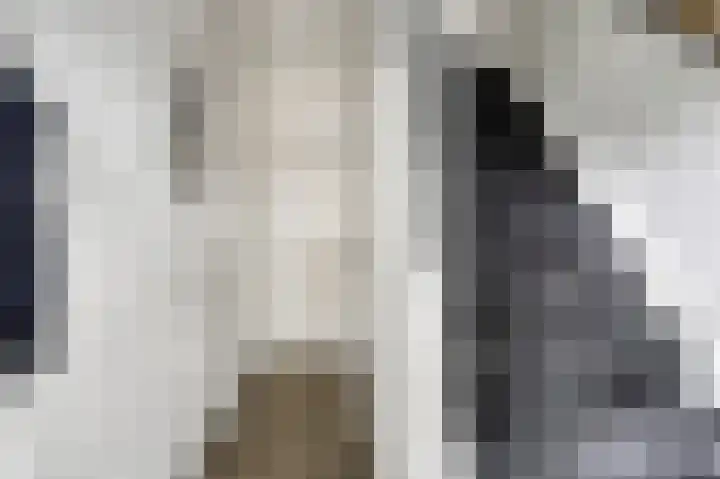 Bilderdijklaan 24 Hazerswoude-Rijndijk thumbnail 6