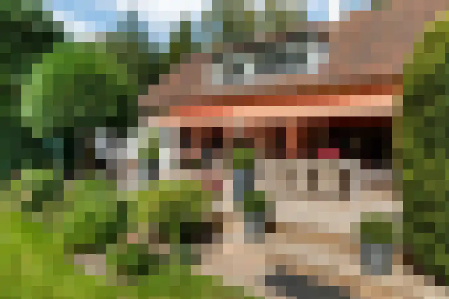 Bilderdijklaan 28 Bilthoven thumbnail 20