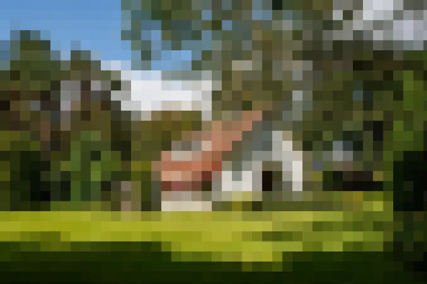 Bilderdijklaan 28 Bilthoven thumbnail 21
