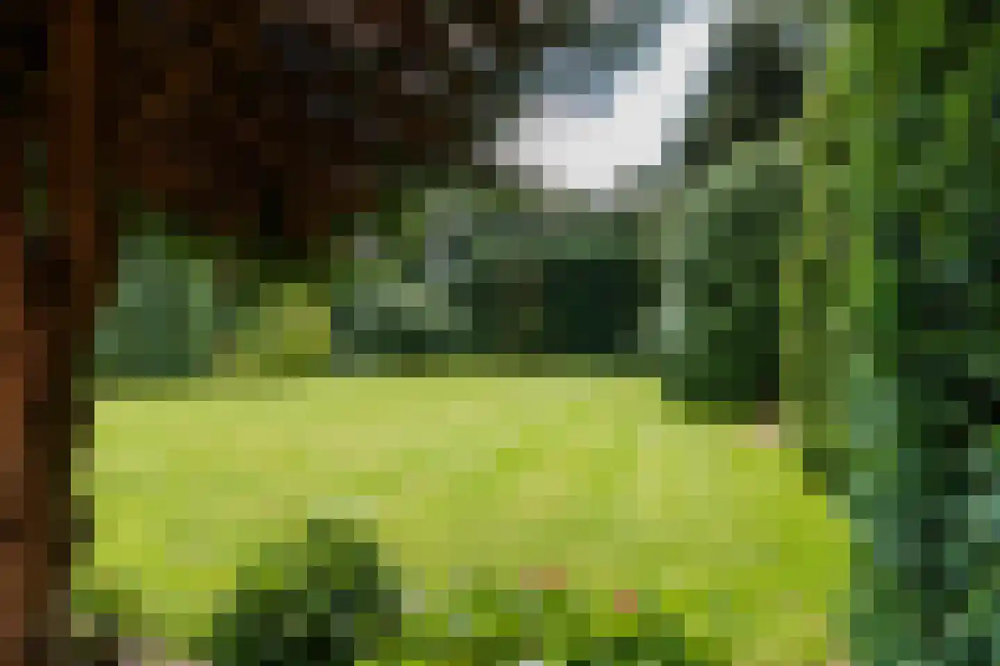 Bilderdijklaan 28 Bilthoven thumbnail 24
