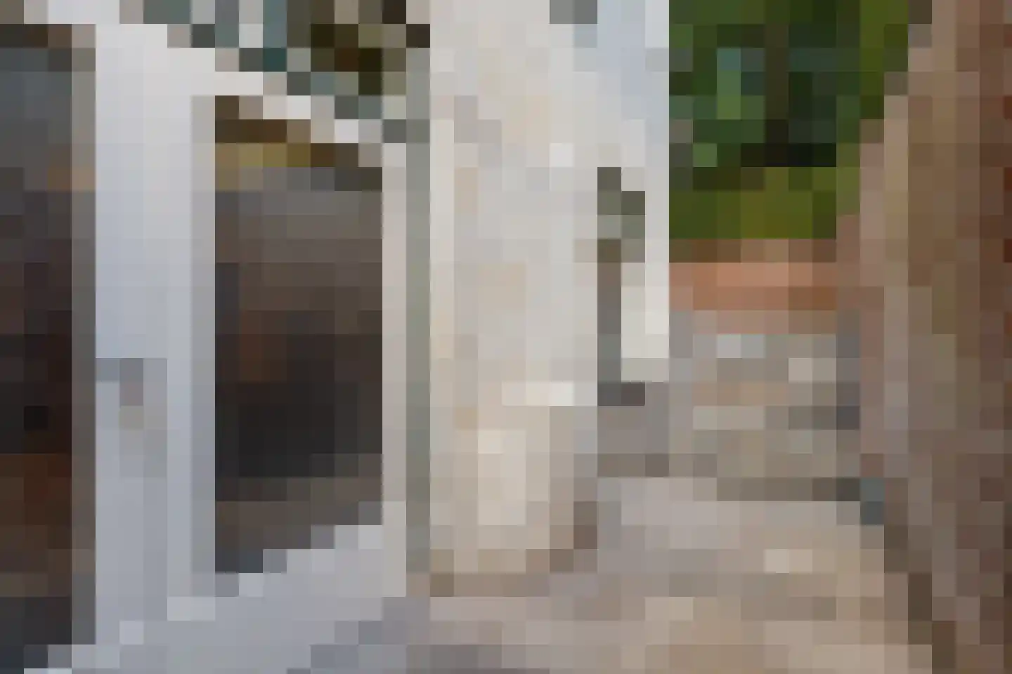 Bilderdijklaan 28 Bilthoven thumbnail 39