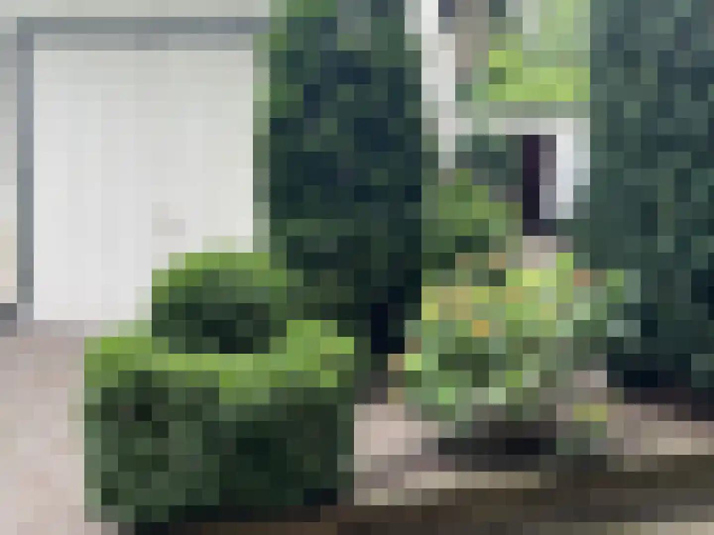 Bilderdijklaan 28 Bilthoven thumbnail 47