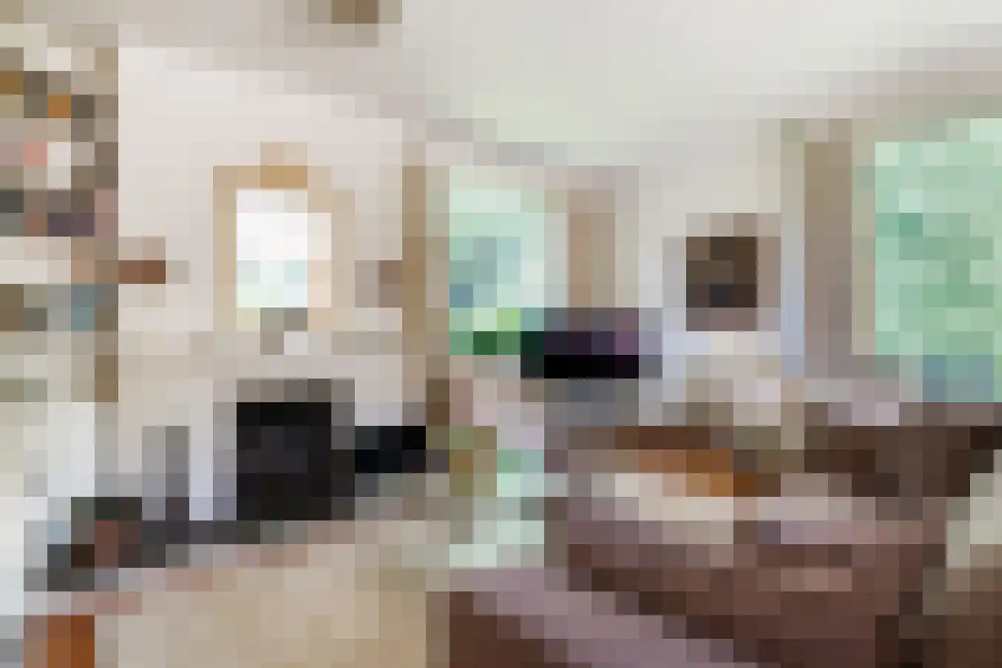 Bilderdijklaan 28 Bilthoven thumbnail 9