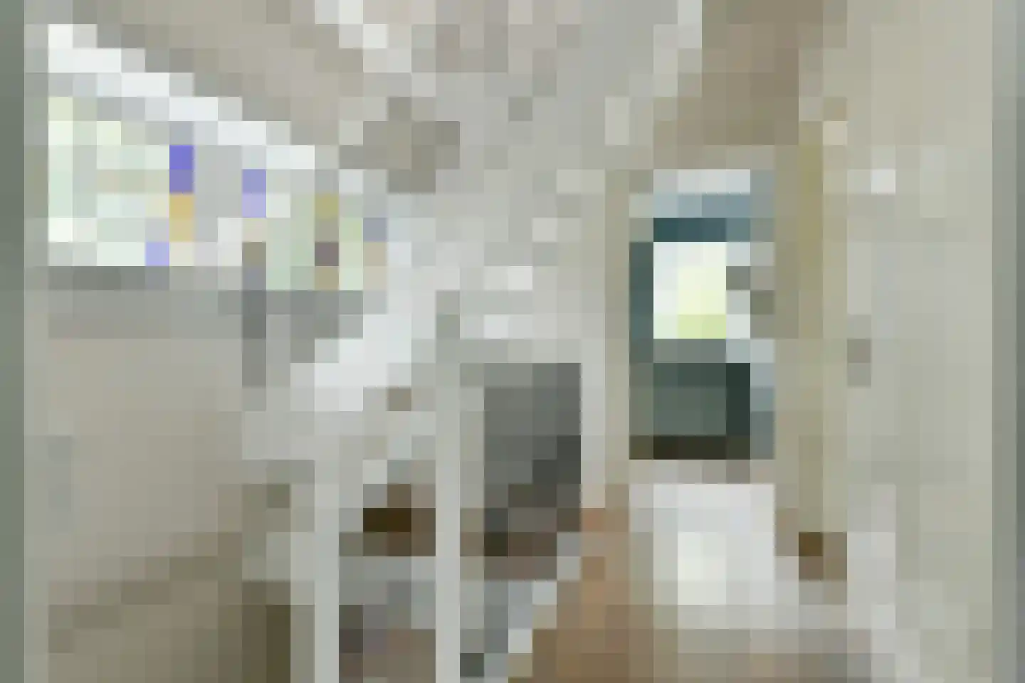 Bilderdijklaan 30 Hilversum thumbnail 30
