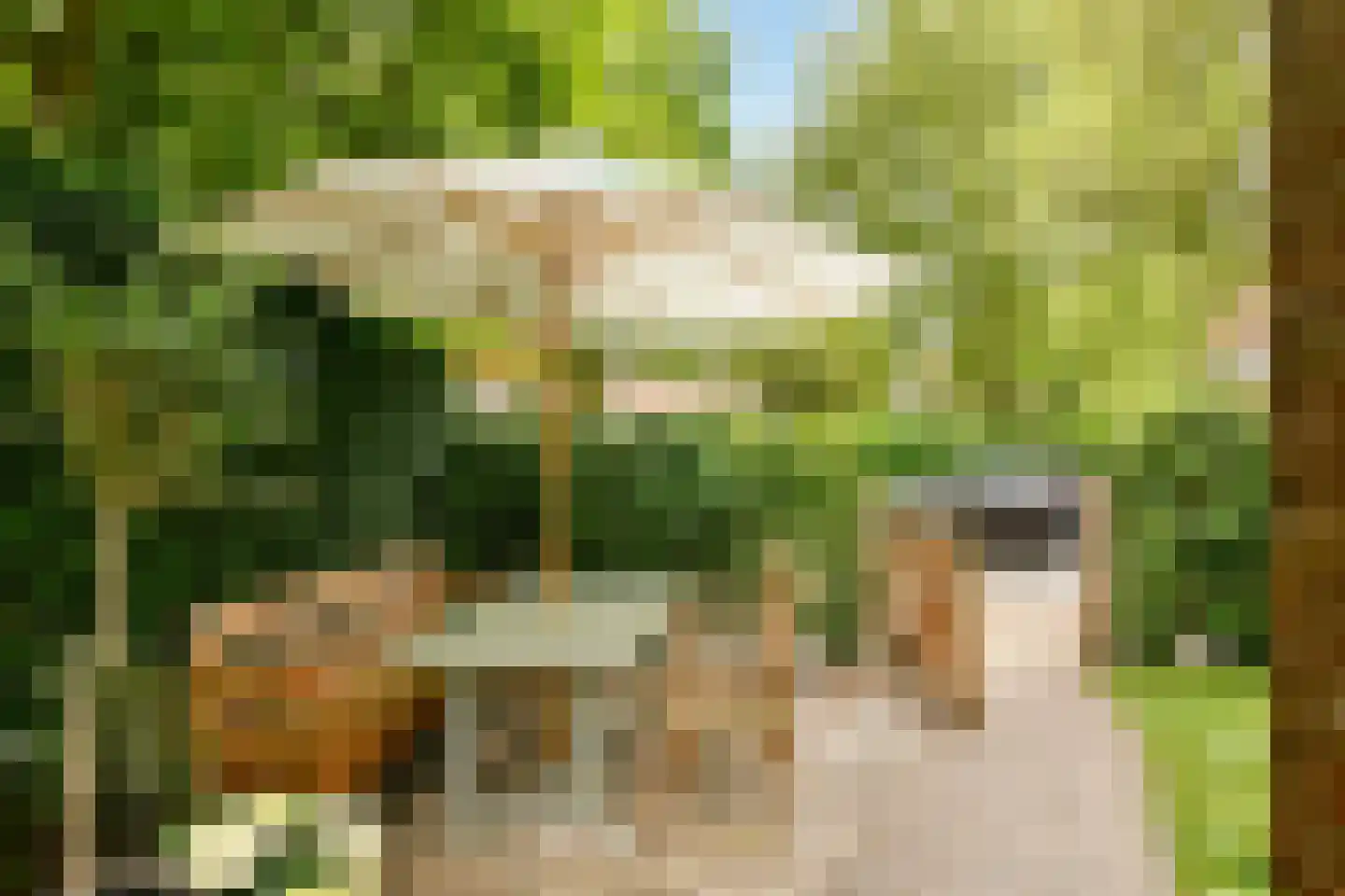 Bilderdijklaan 30 Hilversum thumbnail 5