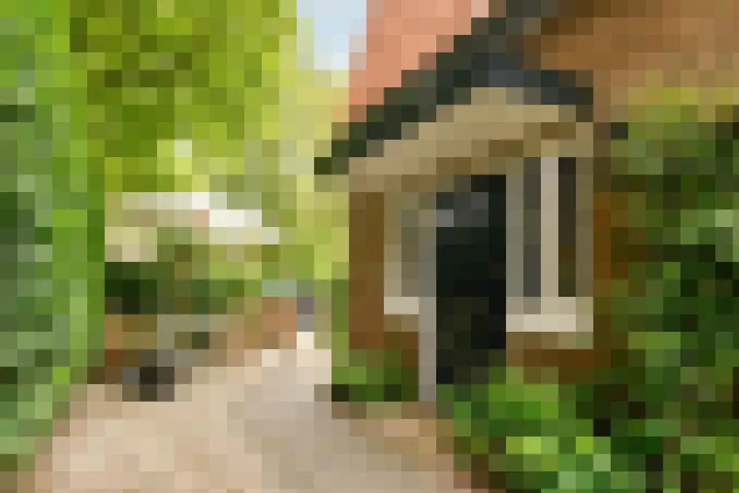 Bilderdijklaan 30 Hilversum thumbnail 6