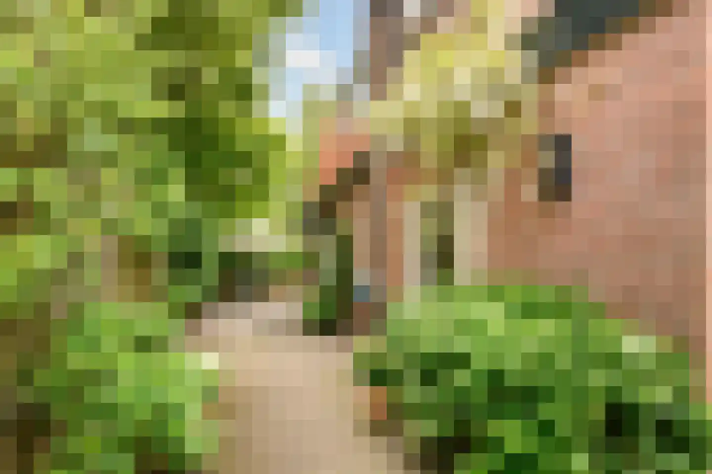 Bilderdijklaan 30 Hilversum thumbnail 7