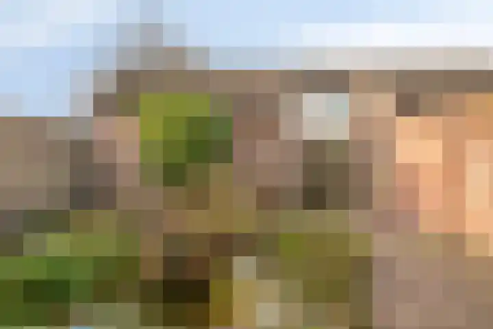 Bilderdijklaan 32 Bladel thumbnail 35