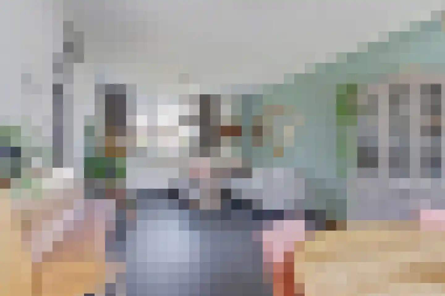 Bilderdijklaan 34 Bladel thumbnail 15