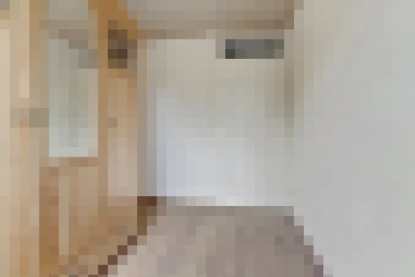 Bilderdijklaan 34 Bladel thumbnail 31