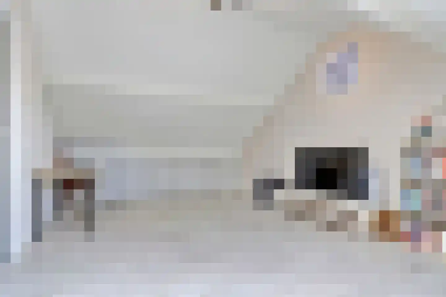 Bilderdijklaan 34 Bladel thumbnail 37