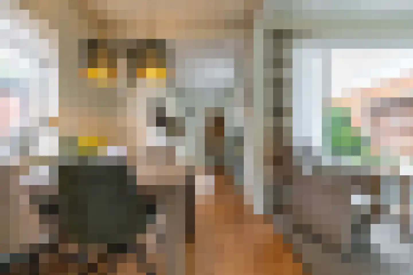 Bilderdijklaan 34 Hoogezand thumbnail 10