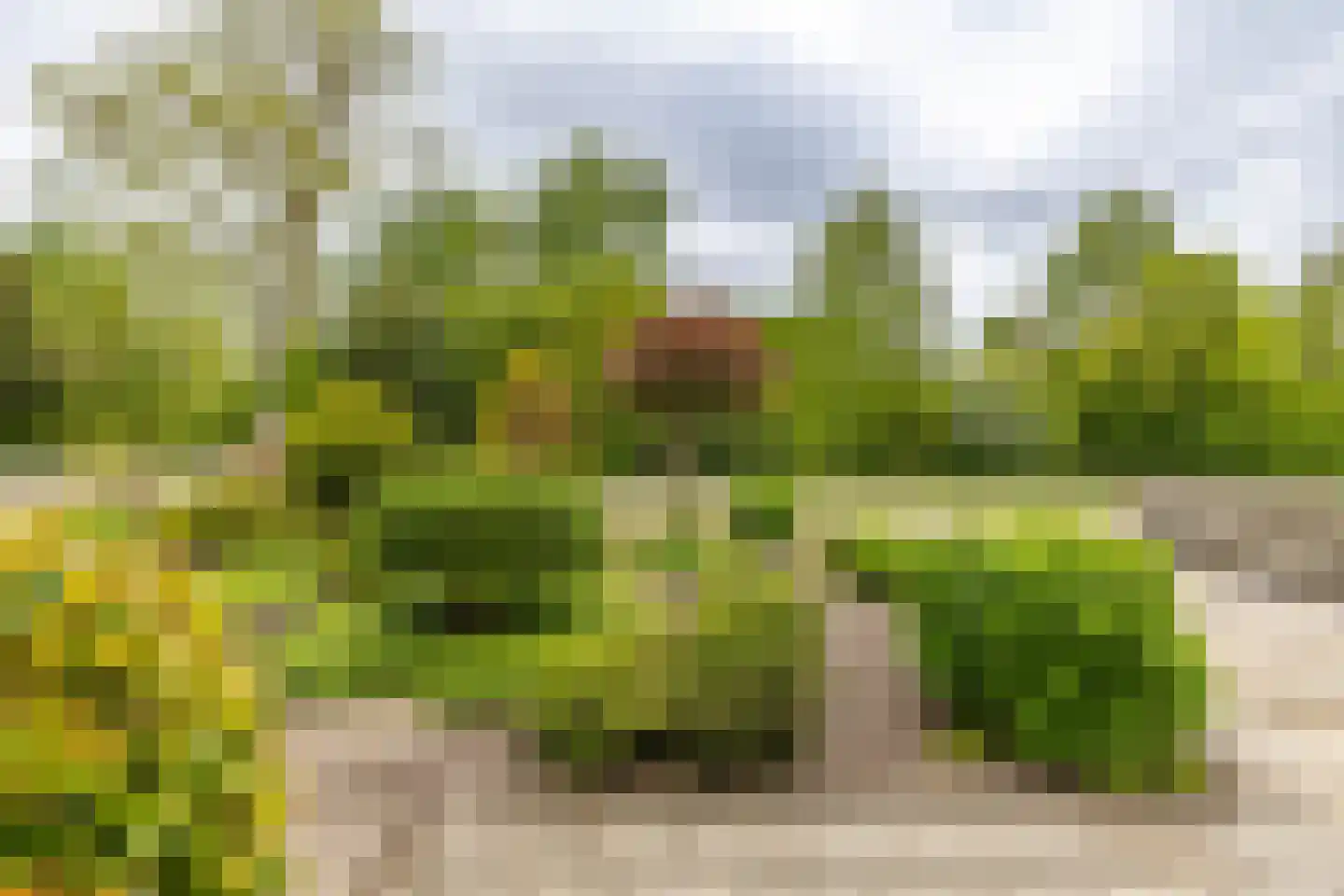 Bilderdijklaan 34 Hoogezand thumbnail 6