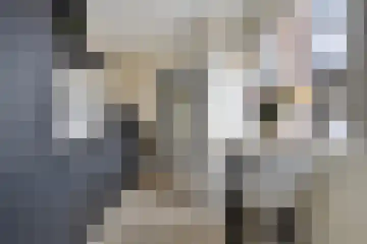 Bilderdijklaan 36 Hoogeveen thumbnail 12