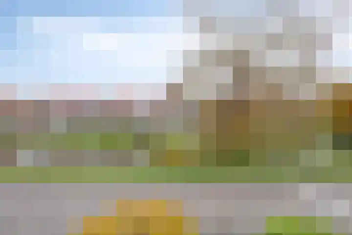 Bilderdijklaan 36 Hoogeveen thumbnail 24