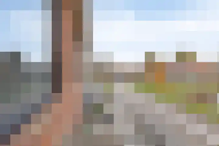 Bilderdijklaan 36 Hoogeveen thumbnail 25