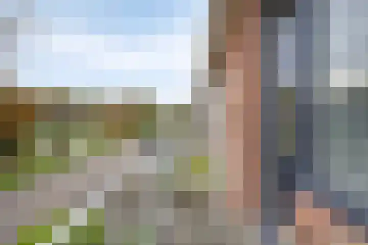 Bilderdijklaan 36 Hoogeveen thumbnail 26