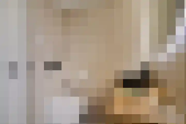 Bilderdijklaan 36 Hoogeveen thumbnail 28