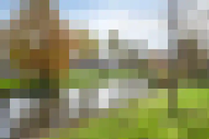 Bilderdijklaan 36 Hoogeveen thumbnail 47