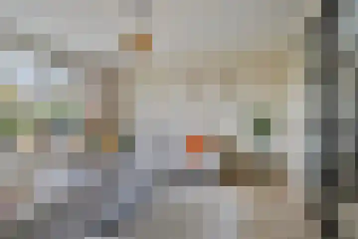 Bilderdijklaan 36 Hoogeveen thumbnail 5