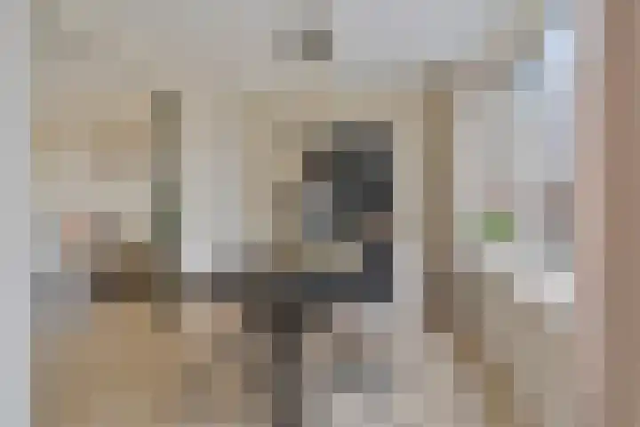 Bilderdijklaan 36 Hoogeveen thumbnail 8