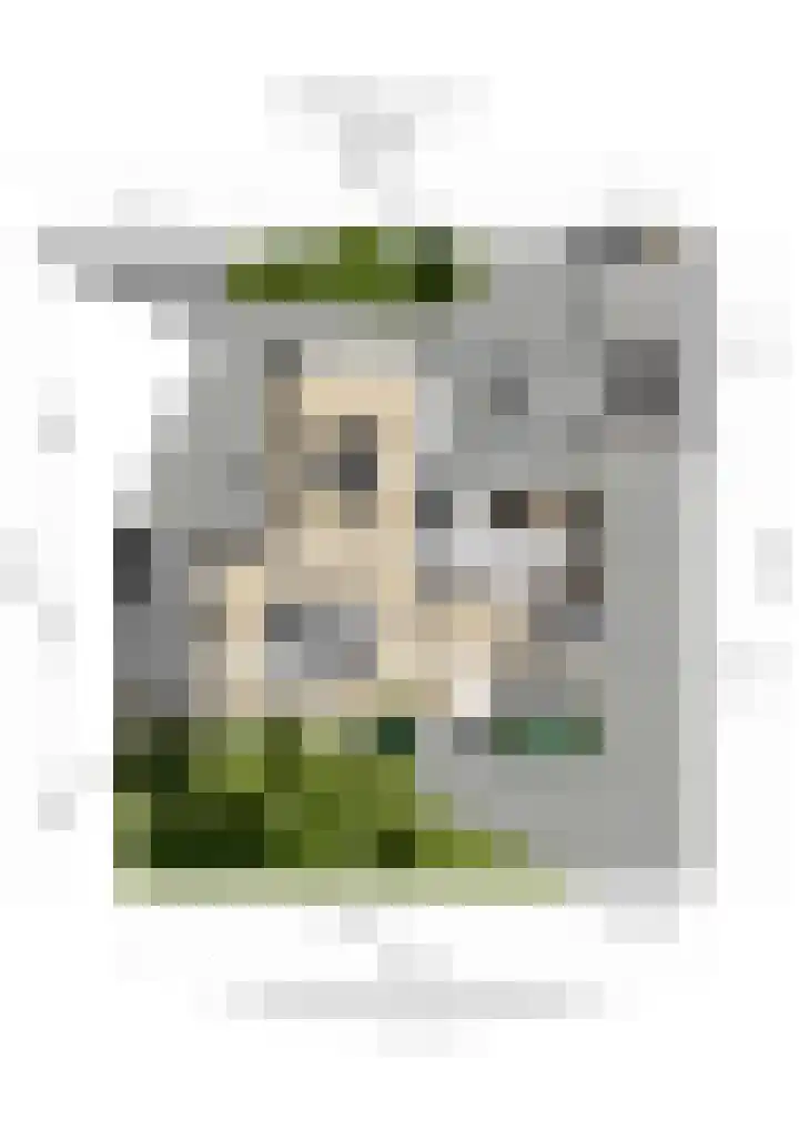 Bilderdijklaan 44 Soest thumbnail 39