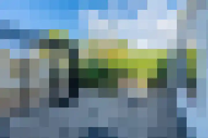 Bilderdijklaan 44 Soest thumbnail 5