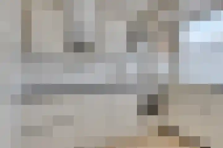 Bilderdijklaan 53 Groningen thumbnail 25