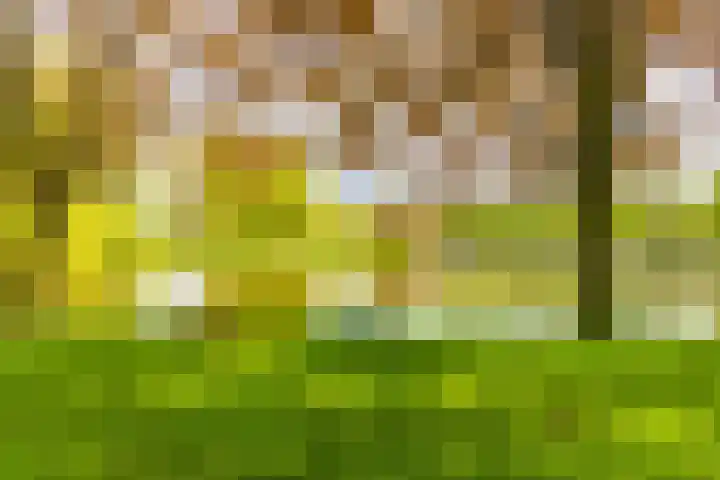 Bilderdijklaan 53 Groningen thumbnail 35