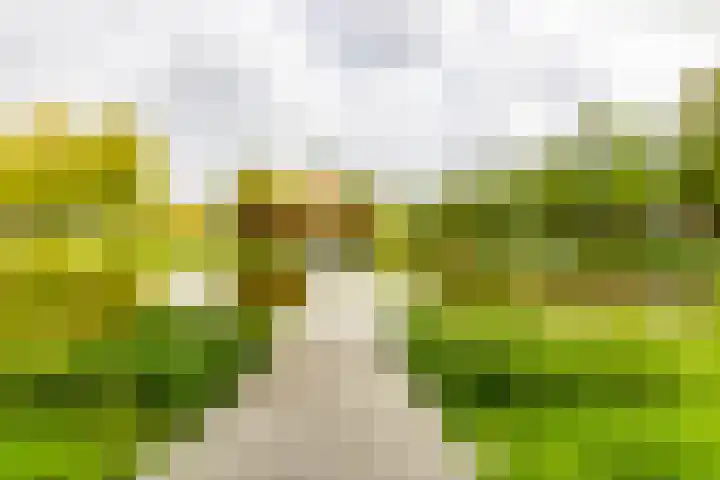 Bilderdijklaan 53 Groningen thumbnail 36