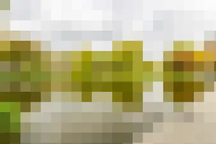 Bilderdijklaan 53 Groningen thumbnail 37