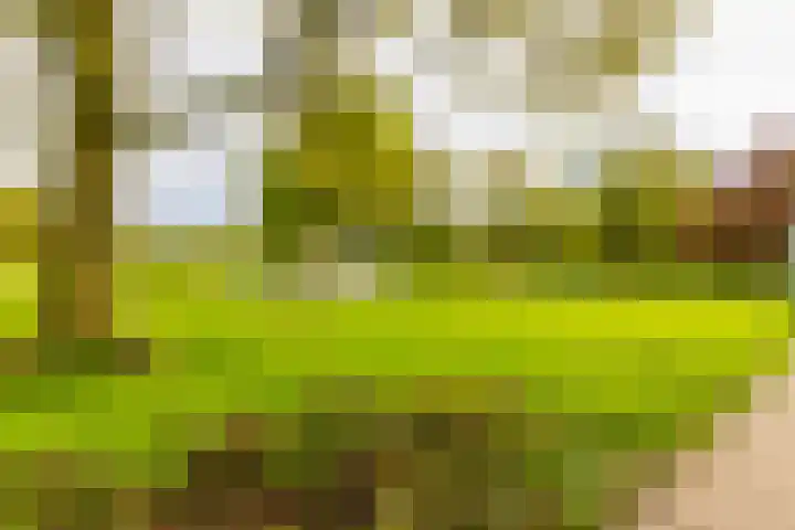Bilderdijklaan 53 Groningen thumbnail 38
