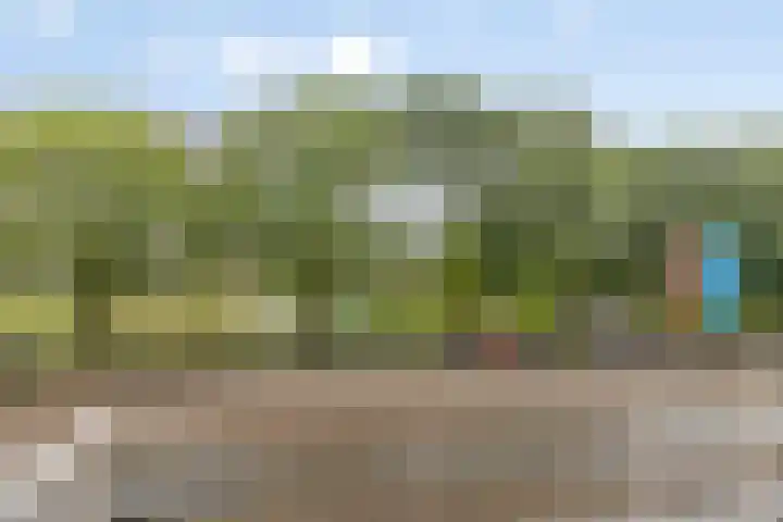 Bilderdijklaan 53 Groningen thumbnail 6