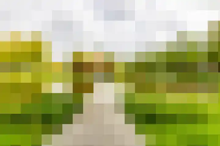 Bilderdijklaan 53 Groningen thumbnail 8