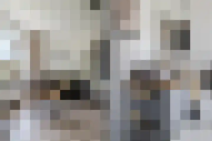 Bilderdijklaan 61 Hoogeveen thumbnail 17