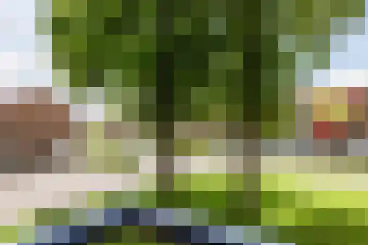 Bilderdijklaan 61 Hoogeveen thumbnail 21