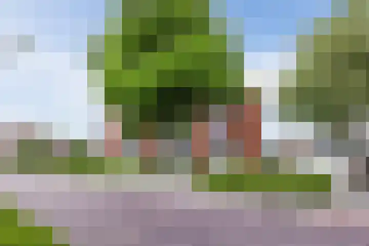Bilderdijklaan 61 Hoogeveen thumbnail 23