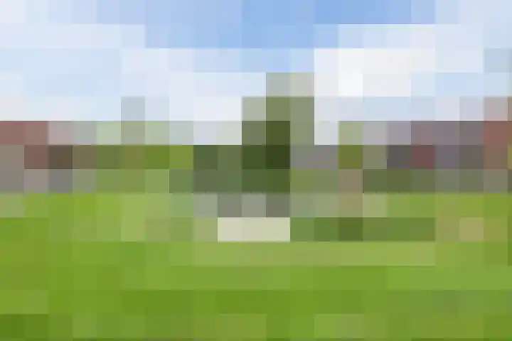 Bilderdijklaan 61 Hoogeveen thumbnail 24