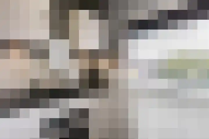 Bilderdijklaan 69 Hoogeveen thumbnail 16