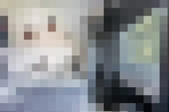 Bilderdijklaan 69 Hoogeveen thumbnail 20