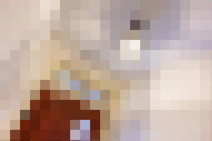 Bilderdijklaan 71 Rijswijk thumbnail 10