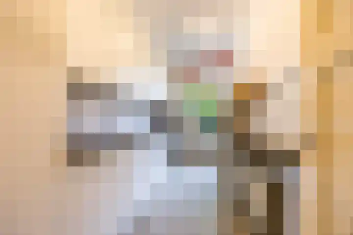 Bilderdijklaan 71 Rijswijk thumbnail 13