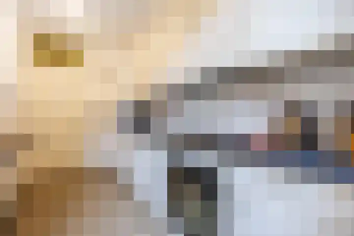Bilderdijklaan 71 Rijswijk thumbnail 14