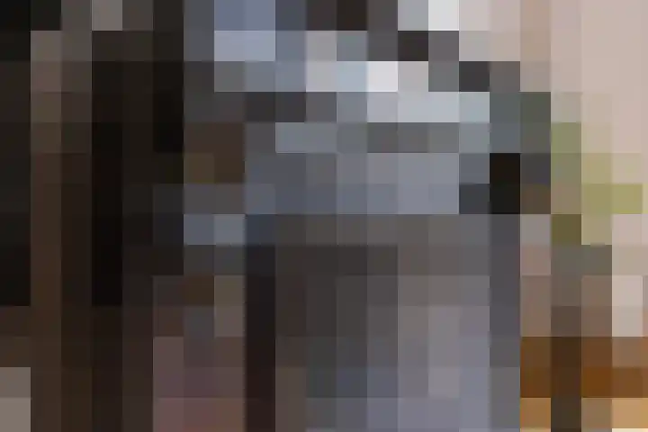 Bilderdijklaan 71 Rijswijk thumbnail 18