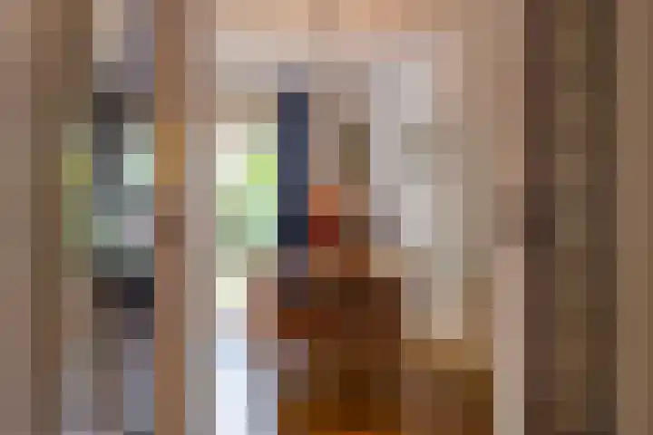 Bilderdijklaan 71 Rijswijk thumbnail 19