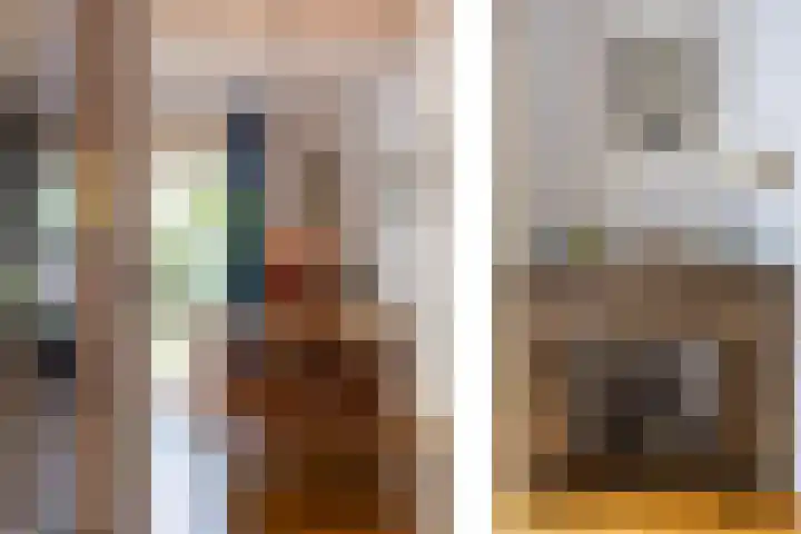 Bilderdijklaan 71 Rijswijk thumbnail 20