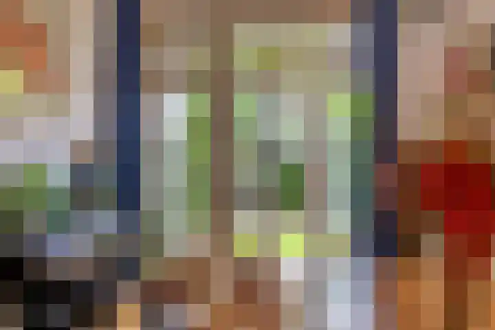 Bilderdijklaan 71 Rijswijk thumbnail 24