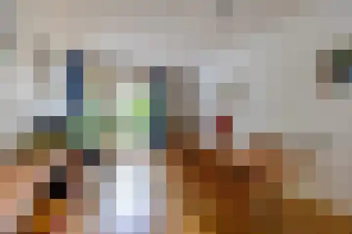 Bilderdijklaan 71 Rijswijk thumbnail 25