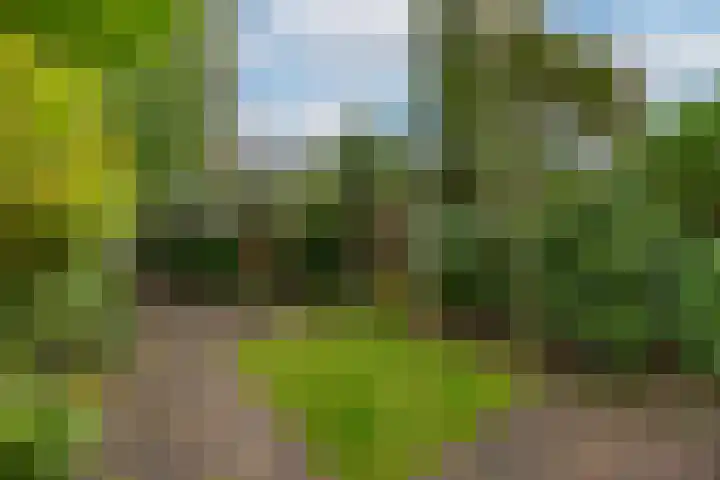 Bilderdijklaan 71 Rijswijk thumbnail 28